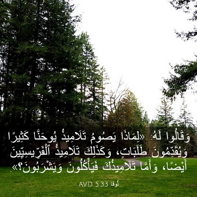 Picture 03 - لُوقا 5:33 AVD - وَقَالُوا لَهُ: «لِمَاذَا - Bible Verse Picture