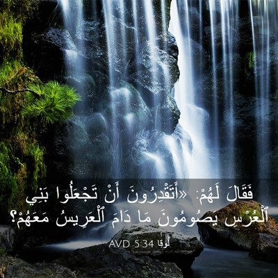 Picture 03 - لُوقا 5:34 AVD - فَقَالَ لَهُمْ: - Bible Verse Picture