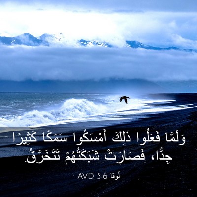Picture 03 - لُوقا 5:6 AVD - وَلَمَّا فَعَلُوا ذَلِكَ - Bible Verse Picture