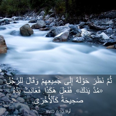 Picture 03 - لُوقا 6:10 AVD - ثُمَّ نَظَرَ حَوْلَهُ - Bible Verse Picture