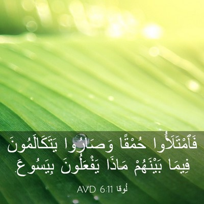 Picture 03 - لُوقا 6:11 AVD - فَٱمْتَلَأُوا حُمْقًا - Bible Verse Picture