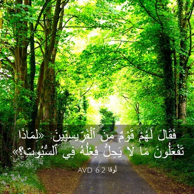 Picture 03 - لُوقا 6:2 AVD - فَقَالَ لَهُمْ قَوْمٌ مِنَ - Bible Verse Picture