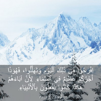 Picture 03 - لُوقا 6:23 AVD - اِفْرَحُوا فِي ذَلِكَ - Bible Verse Picture