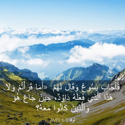 Picture 03 - لُوقا 6:3 AVD - فَأَجَابَ يَسُوعُ وَقَالَ - Bible Verse Picture