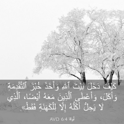 Picture 03 - لُوقا 6:4 AVD - كَيْفَ دَخَلَ بَيْتَ ٱللهِ - Bible Verse Picture