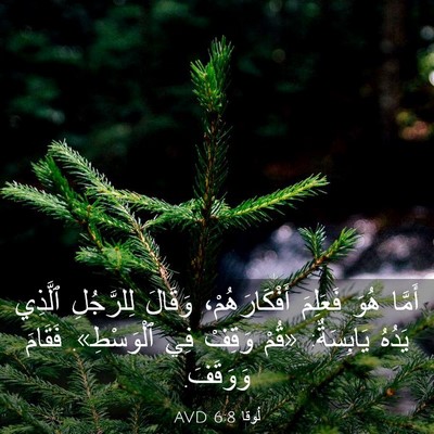 Picture 03 - لُوقا 6:8 AVD - أَمَّا هُوَ فَعَلِمَ - Bible Verse Picture