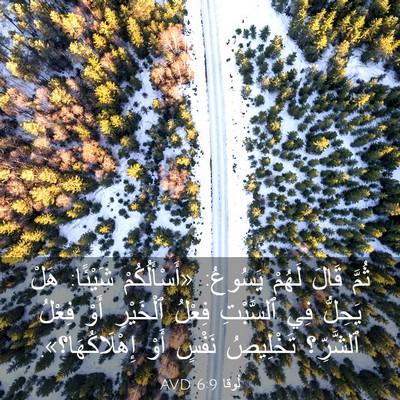 Picture 03 - لُوقا 6:9 AVD - ثُمَّ قَالَ لَهُمْ - Bible Verse Picture