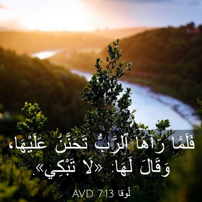 Picture 03 - لُوقا 7:13 AVD - فَلَمَّا رَآهَا ٱلرَّبُّ - Bible Verse Picture