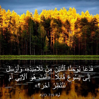 Picture 03 - لُوقا 7:19 AVD - فَدَعَا يُوحَنَّا - Bible Verse Picture