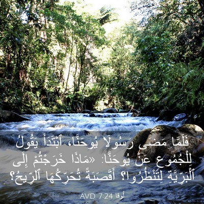 Picture 03 - لُوقا 7:24 AVD - فَلَمَّا مَضَى رَسُولَا - Bible Verse Picture