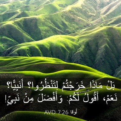 Picture 03 - لُوقا 7:26 AVD - بَلْ مَاذَا خَرَجْتُمْ - Bible Verse Picture