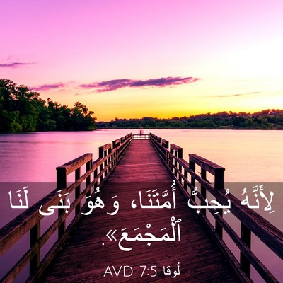 Picture 03 - لُوقا 7:5 AVD - لِأَنَّهُ يُحِبُّ - Bible Verse Picture