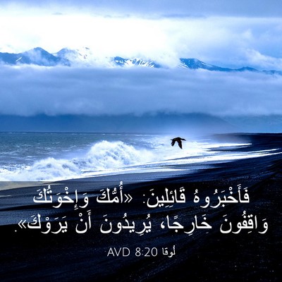 Picture 03 - لُوقا 8:20 AVD - فَأَخْبَرُوهُ قَائِلِينَ: - Bible Verse Picture