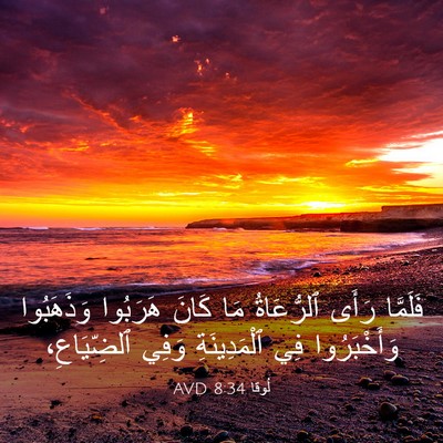 Picture 03 - لُوقا 8:34 AVD - فَلَمَّا رَأَى ٱلرُّعَاةُ - Bible Verse Picture