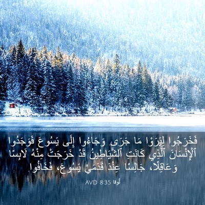 Picture 03 - لُوقا 8:35 AVD - فَخَرَجُوا لِيَرَوْا مَا - Bible Verse Picture