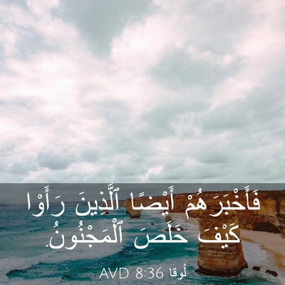 Picture 03 - لُوقا 8:36 AVD - فَأَخْبَرَهُمْ أَيْضًا - Bible Verse Picture