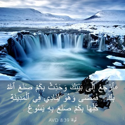 Picture 03 - لُوقا 8:39 AVD - «ٱرْجِعْ إِلَى بَيْتِكَ - Bible Verse Picture