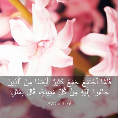 Picture 03 - لُوقا 8:4 AVD - فَلَمَّا ٱجْتَمَعَ جَمْعٌ - Bible Verse Picture