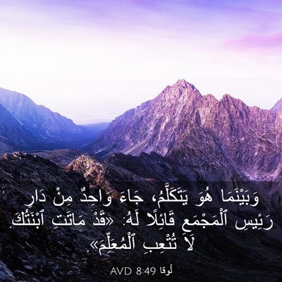 Picture 03 - لُوقا 8:49 AVD - وَبَيْنَمَا هُوَ - Bible Verse Picture