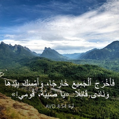 Picture 03 - لُوقا 8:54 AVD - فَأَخْرَجَ ٱلْجَمِيعَ - Bible Verse Picture