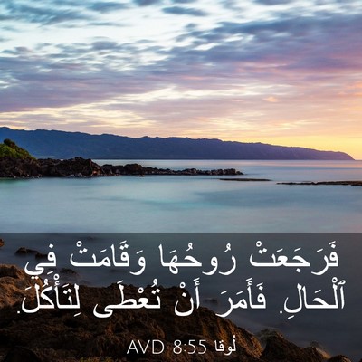 Picture 03 - لُوقا 8:55 AVD - فَرَجَعَتْ رُوحُهَا - Bible Verse Picture
