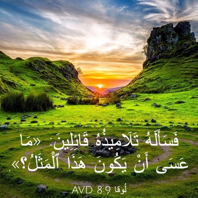 Picture 03 - لُوقا 8:9 AVD - فَسَأَلَهُ تَلَامِيذُهُ - Bible Verse Picture