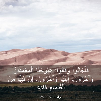 Picture 03 - لُوقا 9:19 AVD - فَأَجَابُوا وَقَالوا: - Bible Verse Picture
