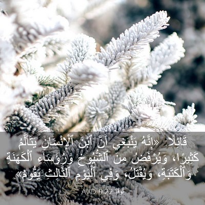 Picture 03 - لُوقا 9:22 AVD - قَائِلًا: «إِنَّهُ - Bible Verse Picture