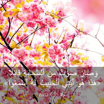 Picture 03 - لُوقا 9:35 AVD - وَصَارَ صَوْتٌ مِنَ - Bible Verse Picture