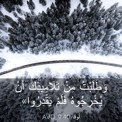 Picture 03 - لُوقا 9:40 AVD - وَطَلَبْتُ مِنْ - Bible Verse Picture