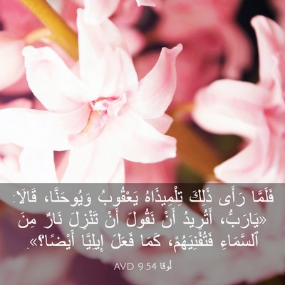 Picture 03 - لُوقا 9:54 AVD - فَلَمَّا رَأَى ذَلِكَ - Bible Verse Picture
