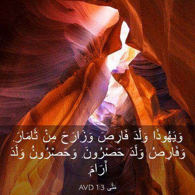 Picture 03 - مَتَّى 1:3 AVD - وَيَهُوذَا وَلَدَ فَارِصَ - Bible Verse Picture