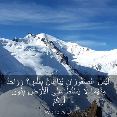 Picture 03 - مَتَّى 10:29 AVD - أَلَيْسَ عُصْفُورَانِ - Bible Verse Picture