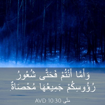 Picture 03 - مَتَّى 10:30 AVD - وَأَمَّا أَنْتُمْ - Bible Verse Picture