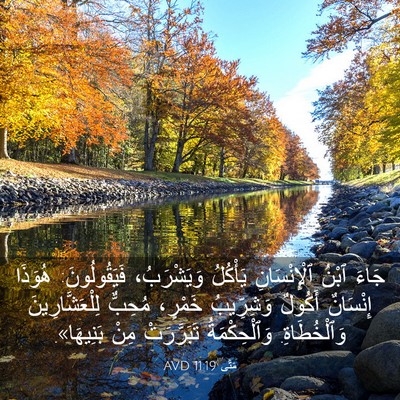 Picture 03 - مَتَّى 11:19 AVD - جَاءَ ٱبْنُ ٱلْإِنْسَانِ - Bible Verse Picture