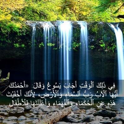 Picture 03 - مَتَّى 11:25 AVD - فِي ذَلِكَ ٱلْوَقْتِ - Bible Verse Picture