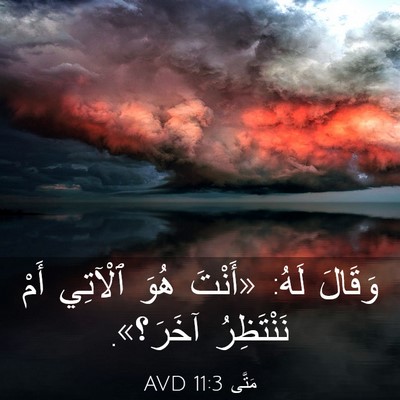 Picture 03 - مَتَّى 11:3 AVD - وَقَالَ لَهُ: «أَنْتَ هُوَ - Bible Verse Picture