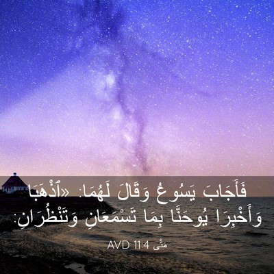 Picture 03 - مَتَّى 11:4 AVD - فَأَجَابَ يَسُوعُ وَقَالَ - Bible Verse Picture