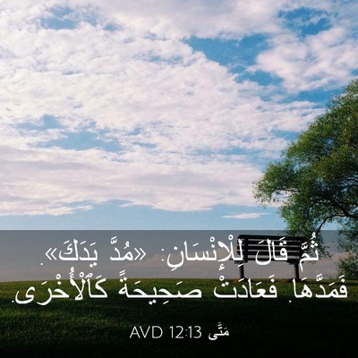 Picture 03 - مَتَّى 12:13 AVD - ثُمَّ قَالَ لِلْإِنْسَانِ: - Bible Verse Picture