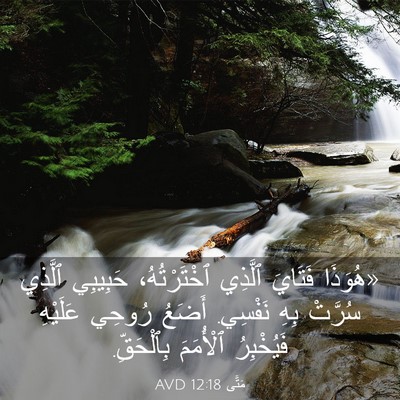 Picture 03 - مَتَّى 12:18 AVD - «هُوَذَا فَتَايَ ٱلَّذِي - Bible Verse Picture