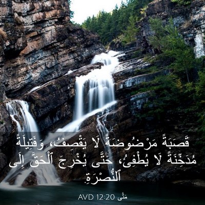 Picture 03 - مَتَّى 12:20 AVD - قَصَبَةً مَرْضُوضَةً لَا - Bible Verse Picture