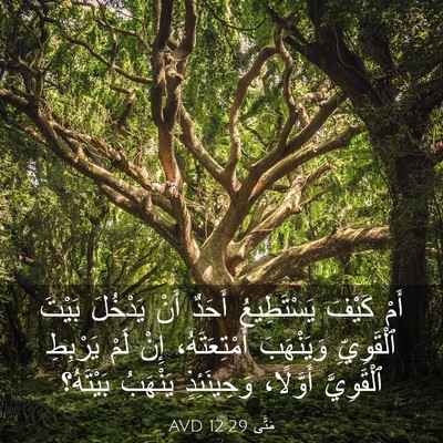 Picture 03 - مَتَّى 12:29 AVD - أَمْ كَيْفَ يَسْتَطِيعُ - Bible Verse Picture