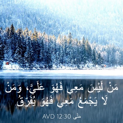 Picture 03 - مَتَّى 12:30 AVD - مَنْ لَيْسَ مَعِي فَهُوَ - Bible Verse Picture