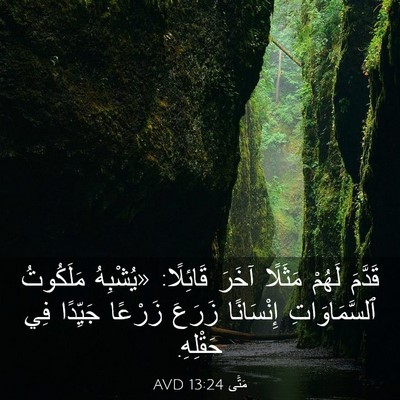 Picture 03 - مَتَّى 13:24 AVD - قَدَّمَ لَهُمْ مَثَلًا - Bible Verse Picture