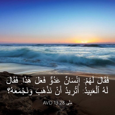 Picture 03 - مَتَّى 13:28 AVD - فَقَالَ لَهُمْ: إِنْسَانٌ - Bible Verse Picture