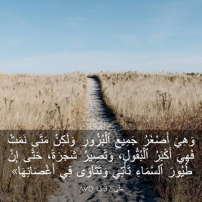Picture 03 - مَتَّى 13:32 AVD - وَهِيَ أَصْغَرُ جَمِيعِ - Bible Verse Picture