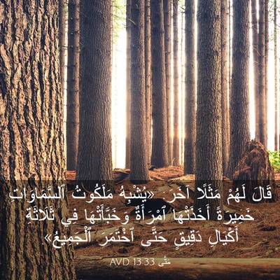 Picture 03 - مَتَّى 13:33 AVD - قَالَ لَهُمْ مَثَلًا - Bible Verse Picture