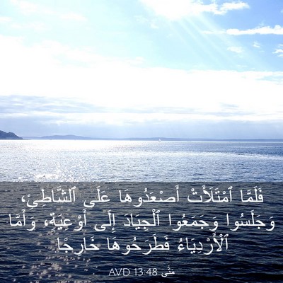 Picture 03 - مَتَّى 13:48 AVD - فَلَمَّا ٱمْتَلَأَتْ - Bible Verse Picture
