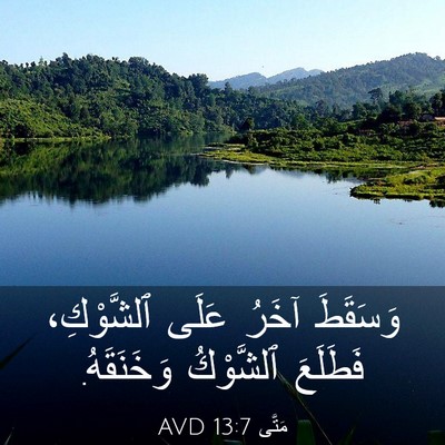 Picture 03 - مَتَّى 13:7 AVD - وَسَقَطَ آخَرُ عَلَى - Bible Verse Picture
