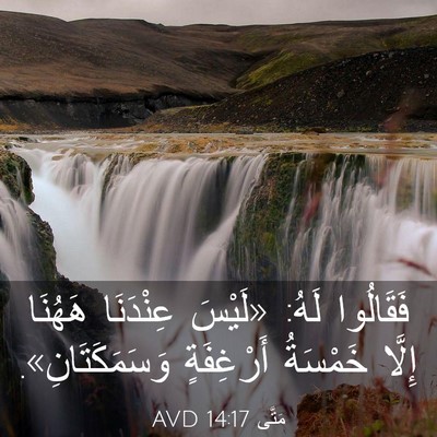 Picture 03 - مَتَّى 14:17 AVD - فَقَالُوا لَهُ: «لَيْسَ - Bible Verse Picture